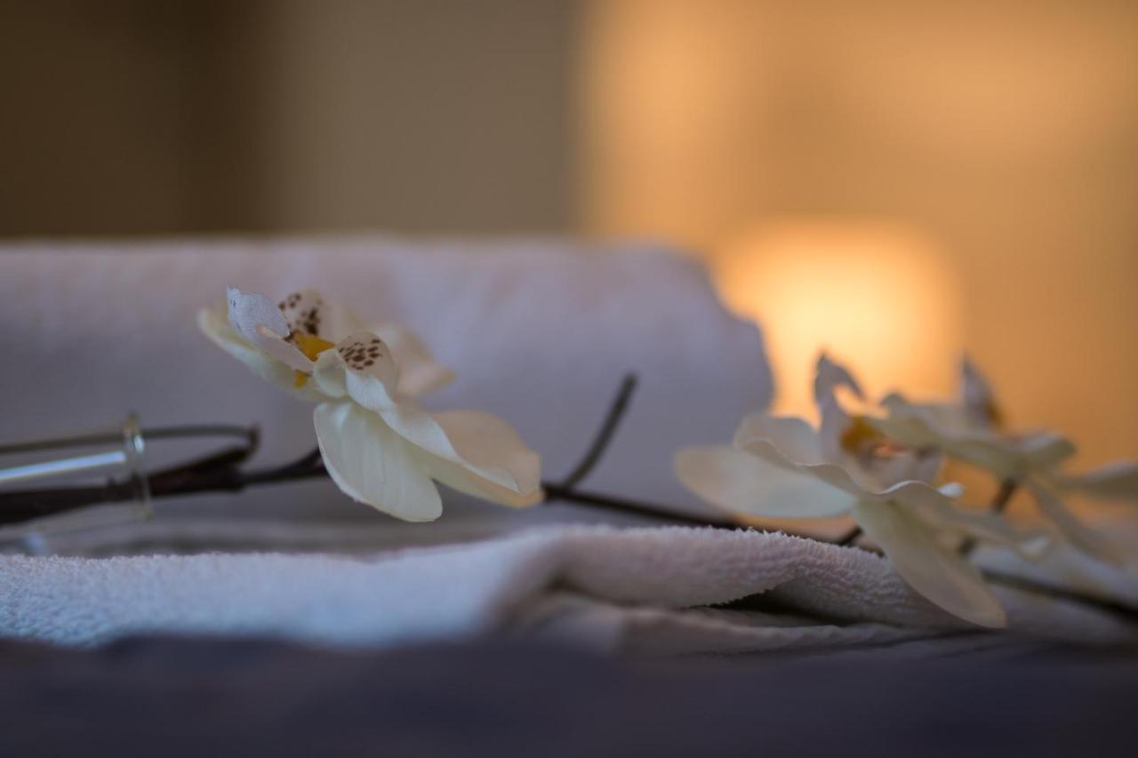 Apartments Villa Carica B&B Mimice Ngoại thất bức ảnh